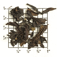 Premium Formosa Oolong Choicest TT17 from Upton Tea Imports