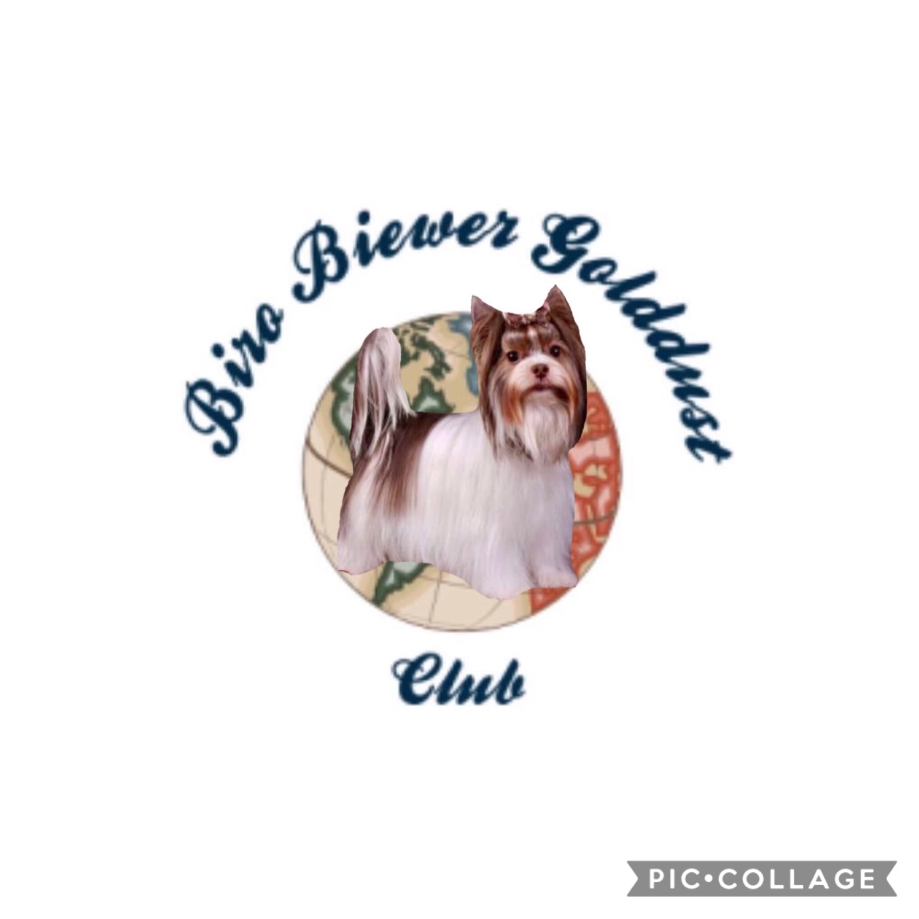 Giving Hope Love And Shelter To Abandoned Pets gclub Org Powered By Donorbox