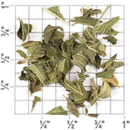 Spearmint from Upton Tea Imports