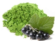Black Currant Matcha from Matcha Outlet