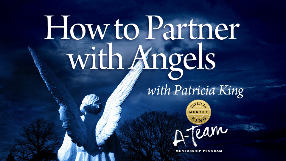 Product image for How to Partner with Angels