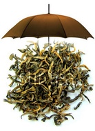 Yunnan Gold from Stir Tea