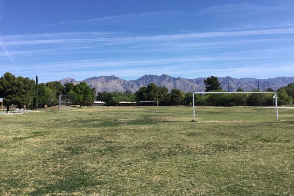 Field