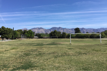 Field
