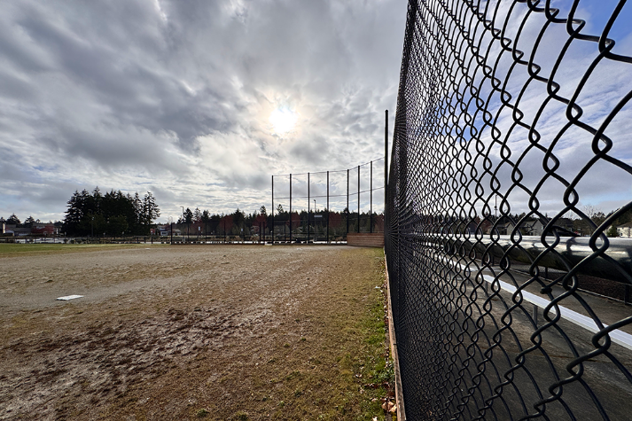 Baseball Field Grass
