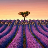 Orange Lavender Fields from Adagio Custom Blends, Meg