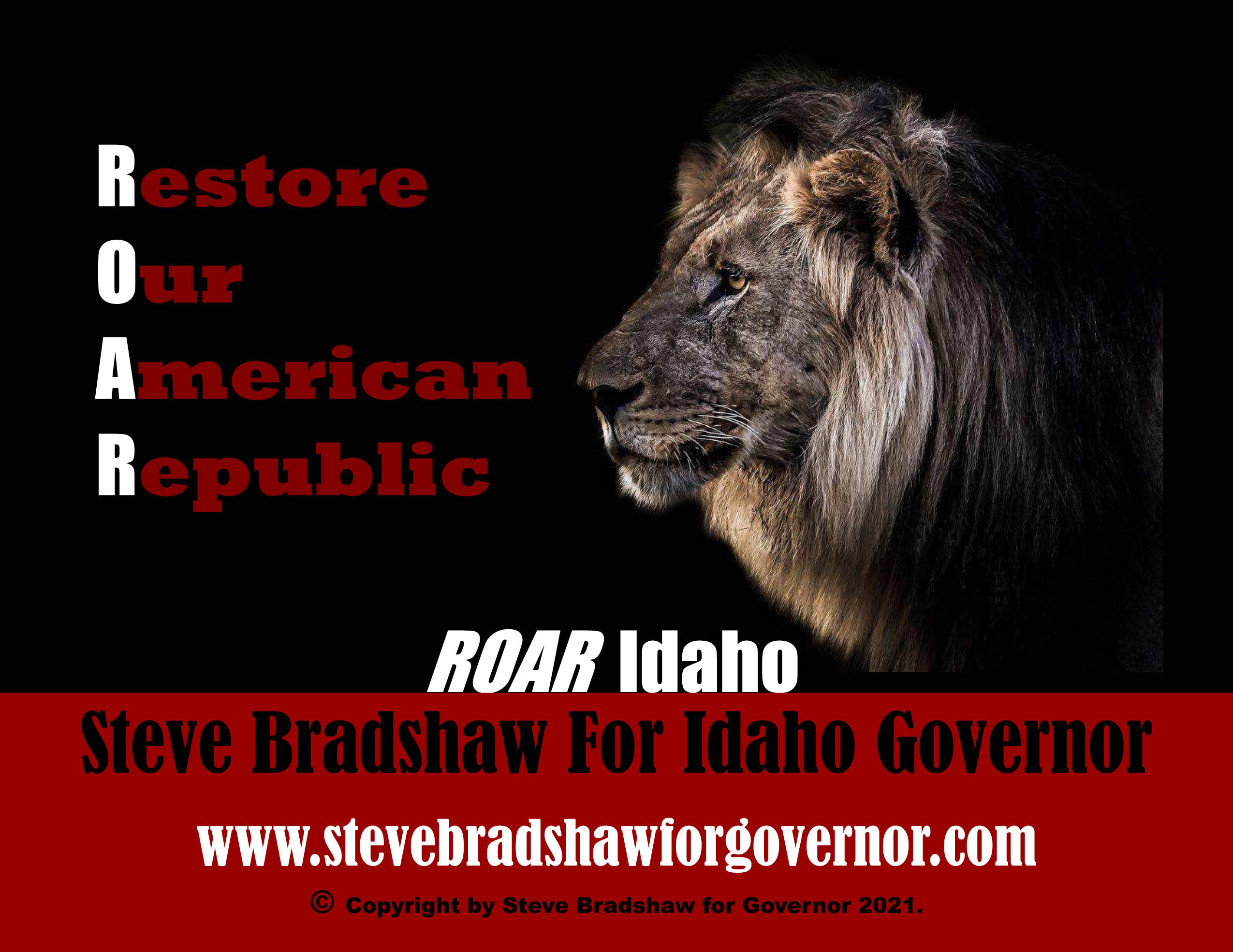 Steve Bradshaw for Governor logo