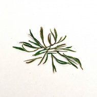 Anji Bai Cha from Canton Tea Co
