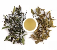 Ruby 18 White (Winter 2019) from Mountain Stream Teas