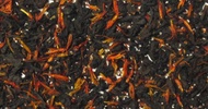 Black Maple from Shanti Tea