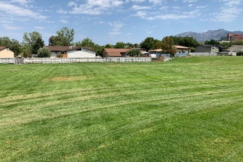 Fields