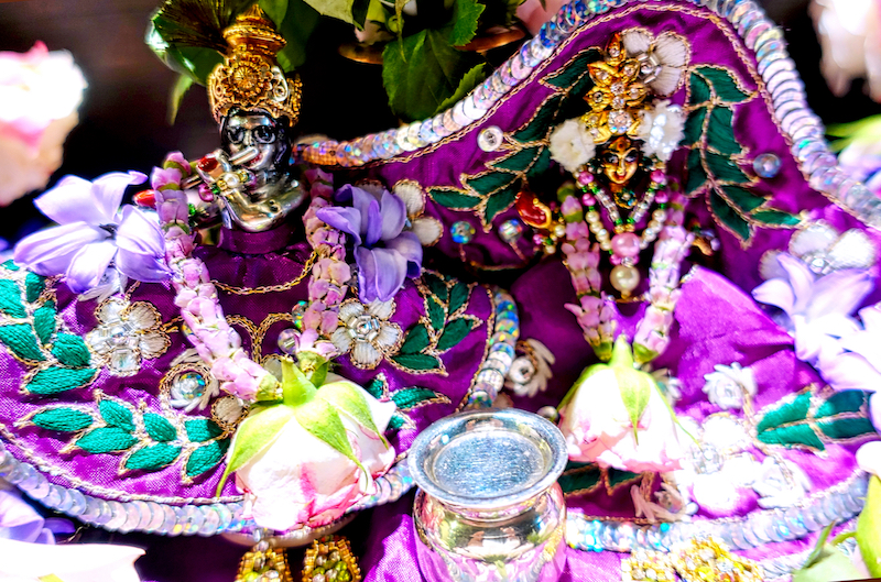 Sri Sri Radha Damodar Temple, Inc. logo