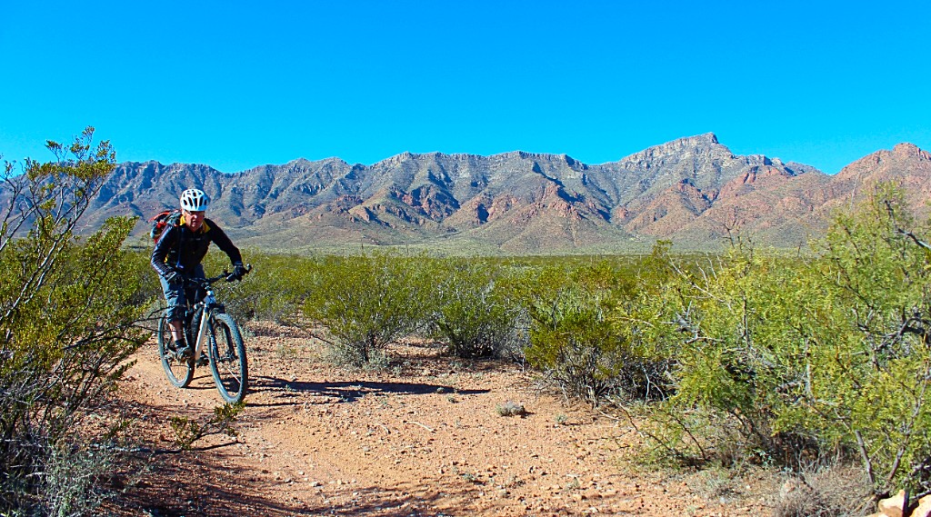 Full-Day Mountain E-Bike Rental
