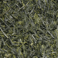 Ashikubo Sencha from American Tea Room