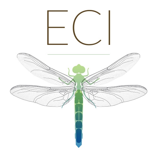 ECI logo