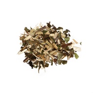 Echinacea from International House of Tea