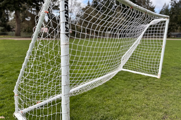 Athletic Field Grass