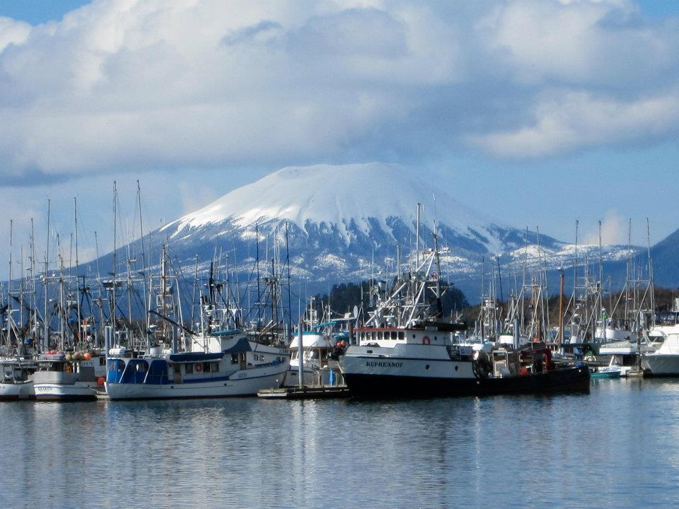 Sitka Scenic Tour Premium by "PRIVATE" Van! photo 1