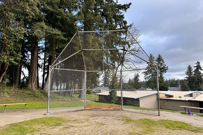 Baseball Field Grass
