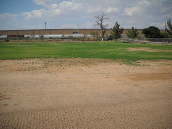 Playfield
