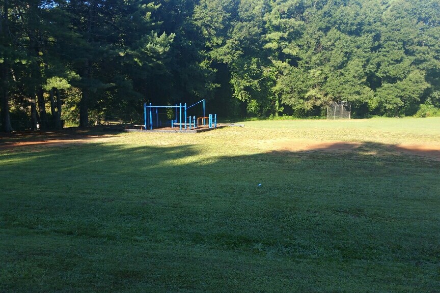 Field