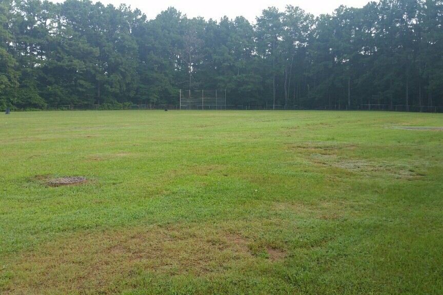 Soccer Field