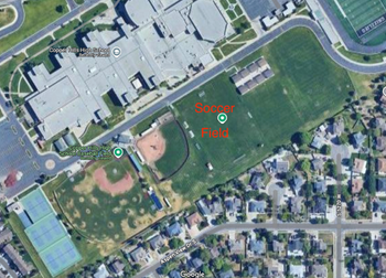 Soccer Grass Field
