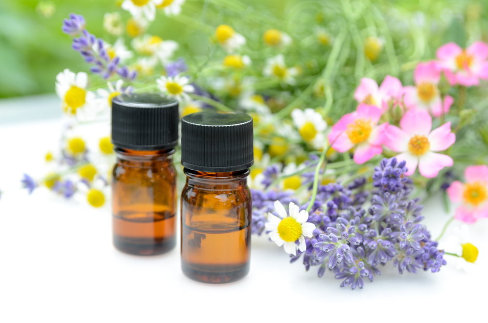The Oily Crew: An Aromatherapy Community | School of Botanical Arts &