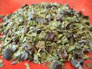 Cocoa Mint Mate from sTEAp Shoppe
