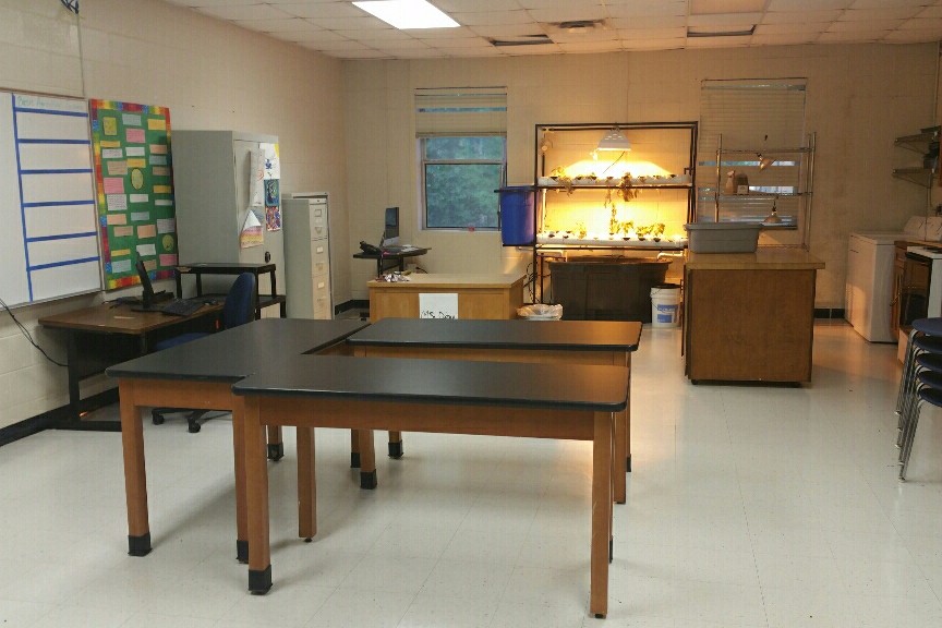 Lab