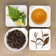 Oriental Beauty Superior Grade Oolong Tea, Lot 883 from Taiwan Tea Crafts