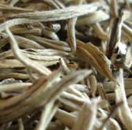 Silver Needle No. 1 from Tea Desire