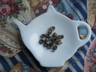 Jasmine Ring from Morning Glory Tea