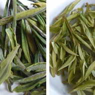 2013 Pre-Qingming An Ji Bai Cha First Day Harvest from Life In Teacup