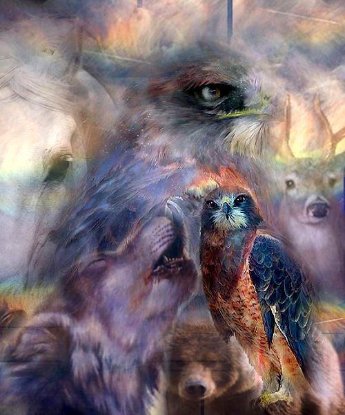 Pet Psychic- Readings & Pet blessings photo 3