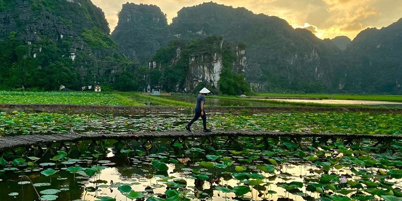 Experience Cruise and Kayak in Ha Long Bay