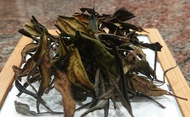 Oolong white tea （烏龍白茶） from Cloudstea（雲霧茶漾）