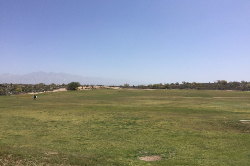 Fields
