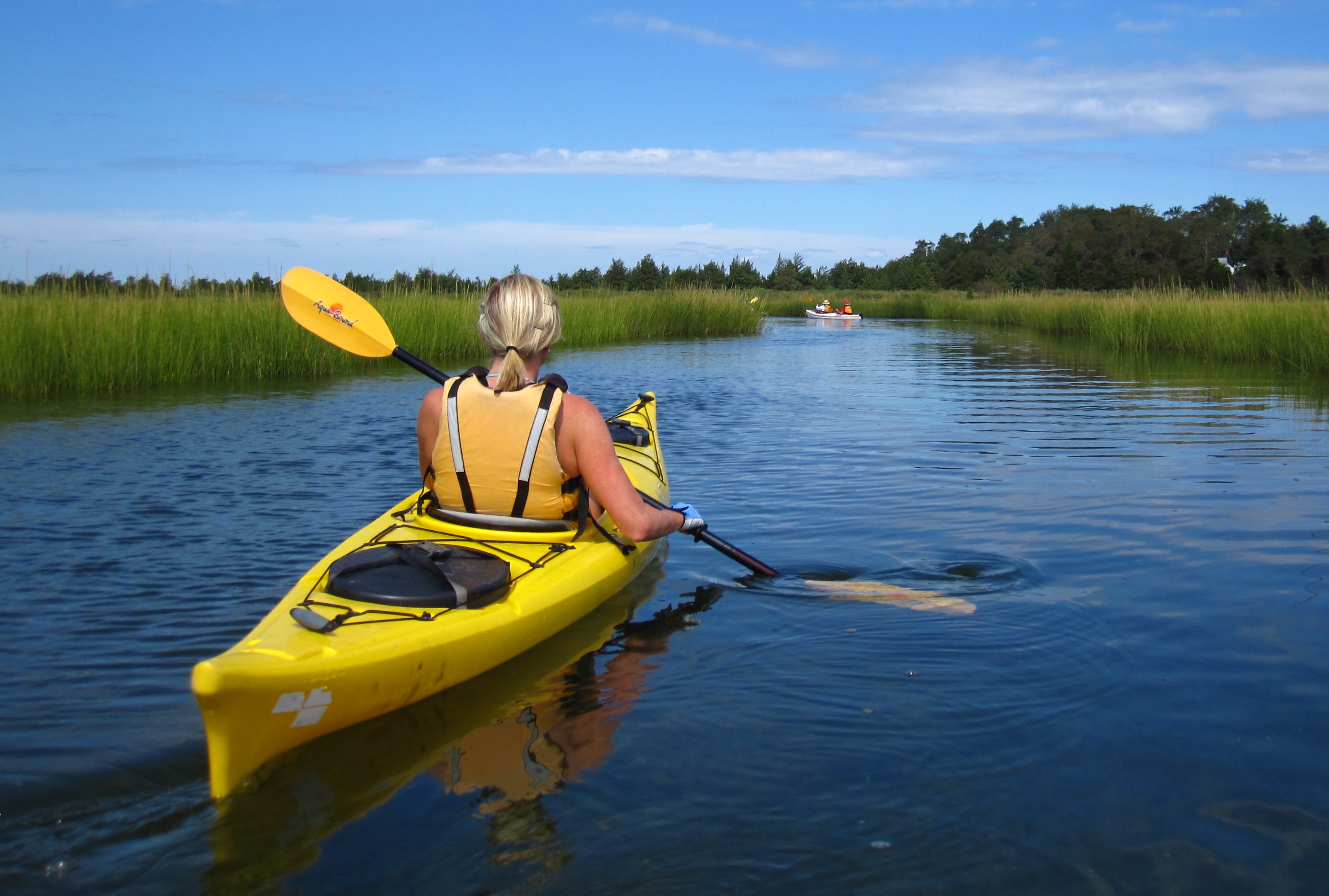 1Hour Kayak Instruction & Tour in Cold Spring Harbor in New York Book