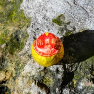 Mandarin Orange Pu'er from West China Tea Company