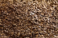 Roasted Mate from DAVIDsTEA