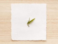 Gan Lu from Song Tea & Ceramics