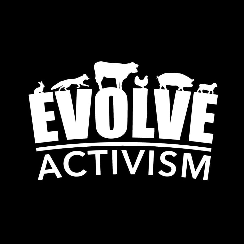 Evolve Activism logo