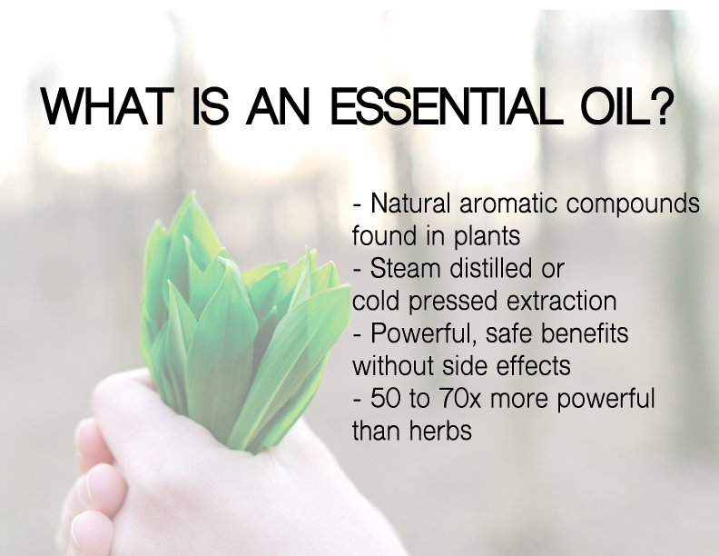Essential oils are natural aromatic compounds found in plants