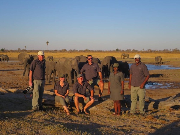 jobs at wilderness safaris