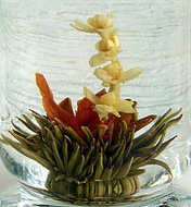 Jasmine Fairy from Alice's Fine Teas