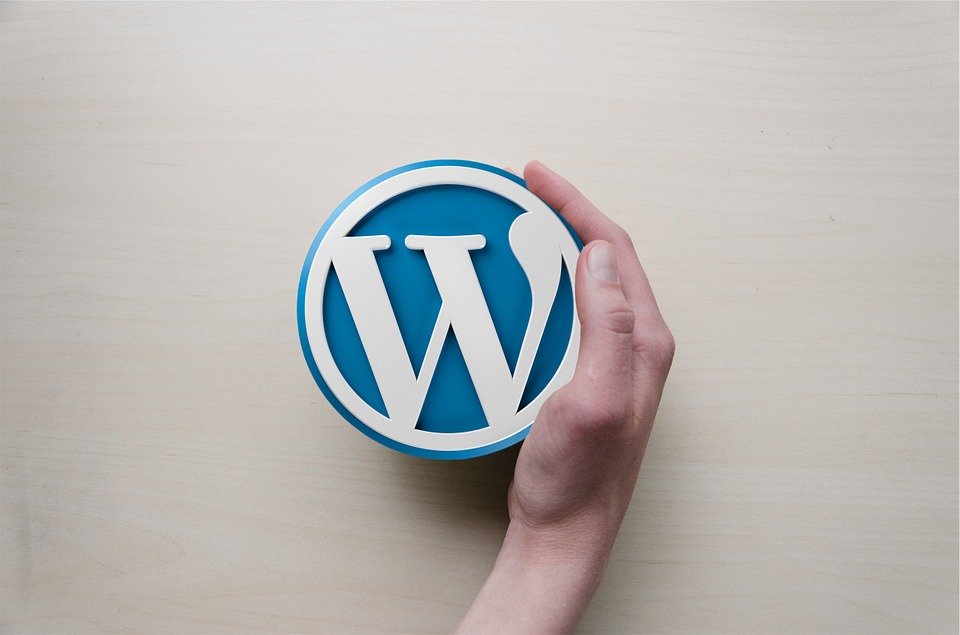 Mastering Wordpress Course