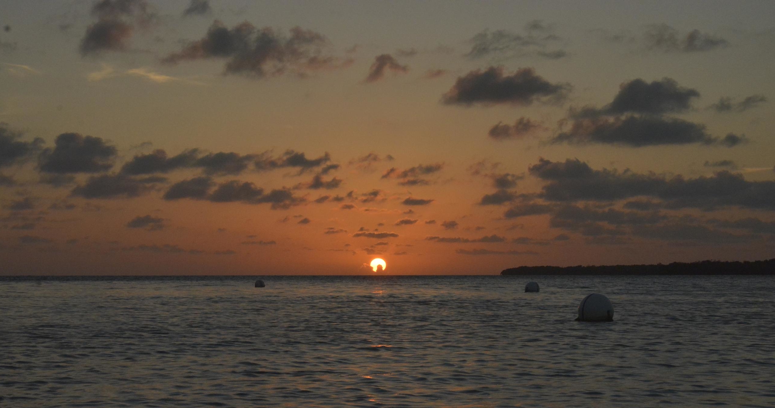 Bioluminescent Bay and Rum Tour at la Parguera from San Juan tour photo 7