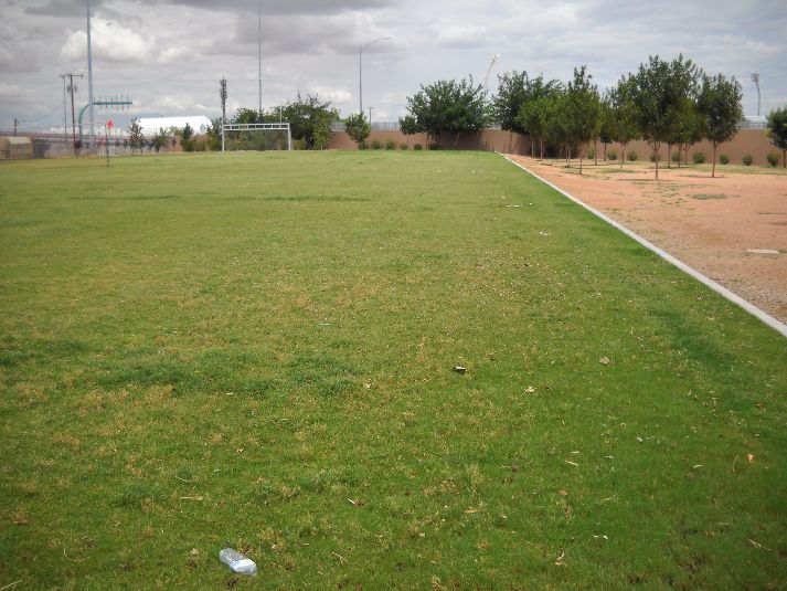 Playfield