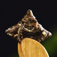 Fuding Gong Mei White Tea Mini Bricks from Yunnan Sourcing
